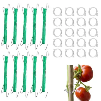 Крючки для поддержки помидоров 10шт для поддержки растений клубники 49,21 футовый Шпагат, держатель для альпинистского крюка, Садовые принадлежности для томатов и овощей